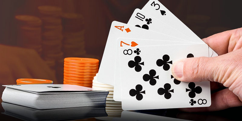 Budgie Cards Poker Game